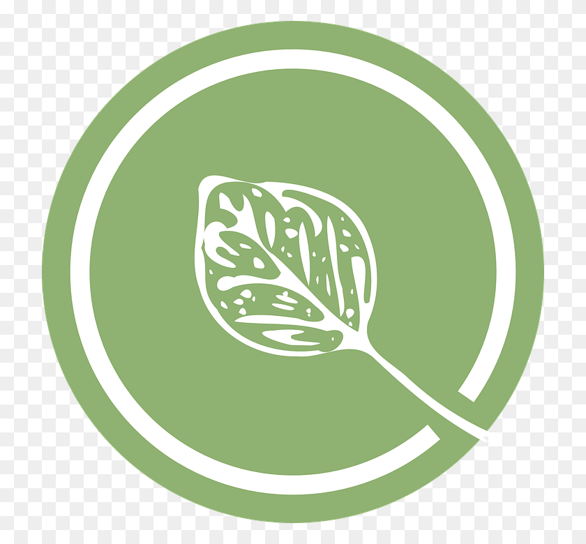 720x720 Лист Зеленый Логотип Amp183 Бесплатная Векторная Графика На Pixabay Лист, Растение, Теннисный Мяч, Овощ Hd Png Скачать
