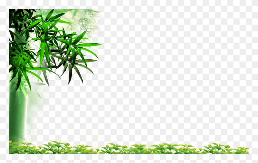 4000x2413 Leaf High Definition Television Leaves Highdefinition HD PNG Download
