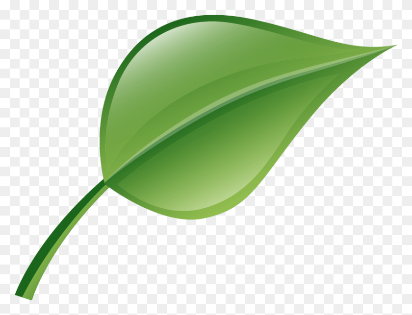 821x614 Hoja Png / Planta, Verde, Fruta Hd Png