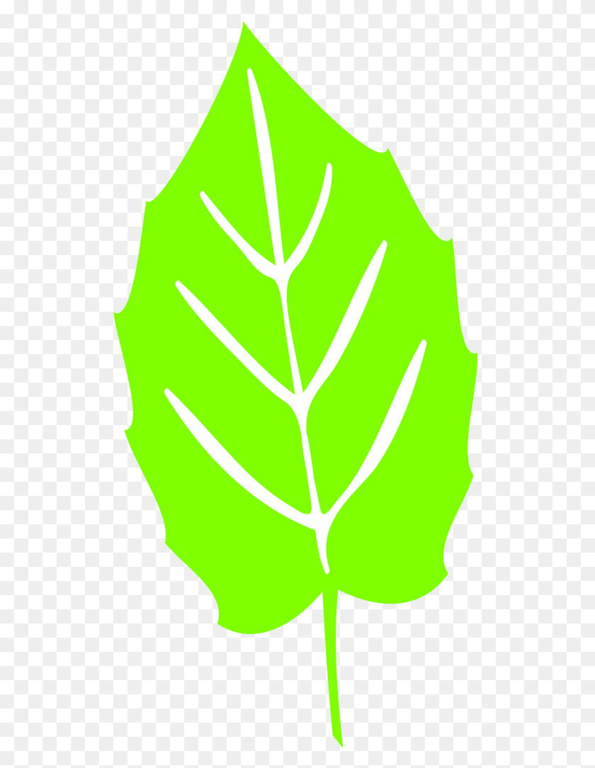 519x1024 Значок Листа Масштабируемая Векторная Графика, Растение, Вены, Свет Hd Png Скачать