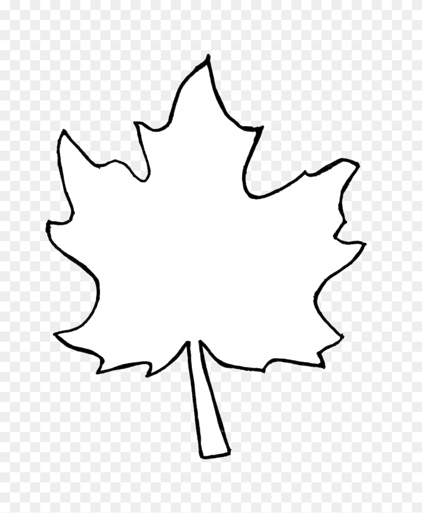 2225x2742 Leaf Outline Collection Fall Leaves Pictures Transparent Fall Leaf Outline, Plant, Maple Leaf, Tree HD PNG Download