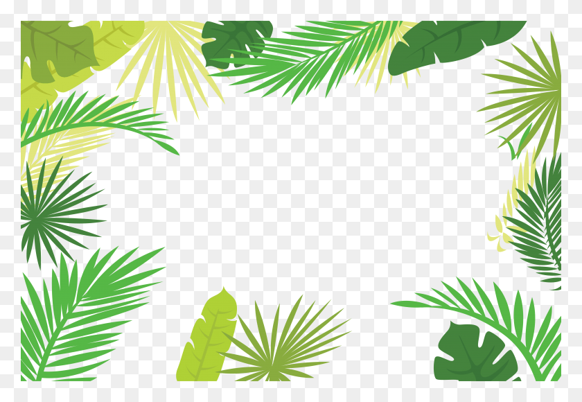 5000x3334 Иллюстрация Текста Листа Arecaceae Граница Пальмовой Ветви Граница Пальмовых Листьев, Зеленый, Растительность, Растение Hd Png Скачать