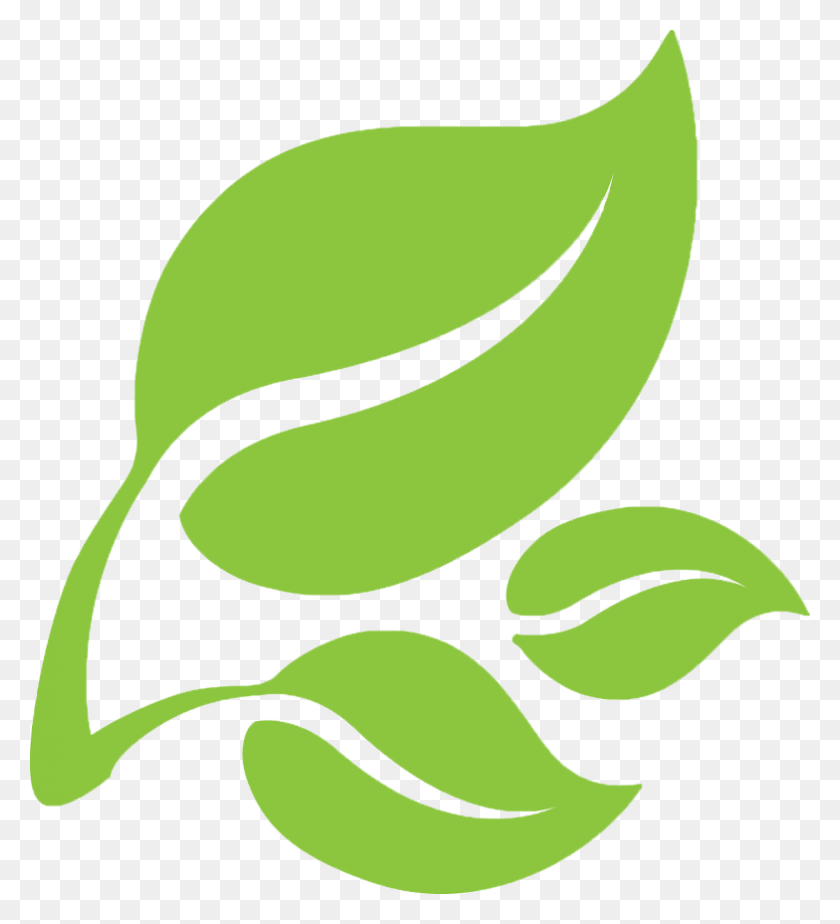 784x869 Leaf Transparent Logo Transparent Green Leaf Logo, Green, Plant, Recycling Symbol HD PNG Download