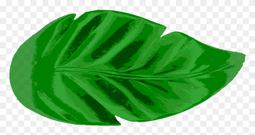 1396x693 Leaf Tropics Earth Palm Branch Watercolor Painting Tropical Leaf Icon, Plant, Green, Veins HD PNG Download