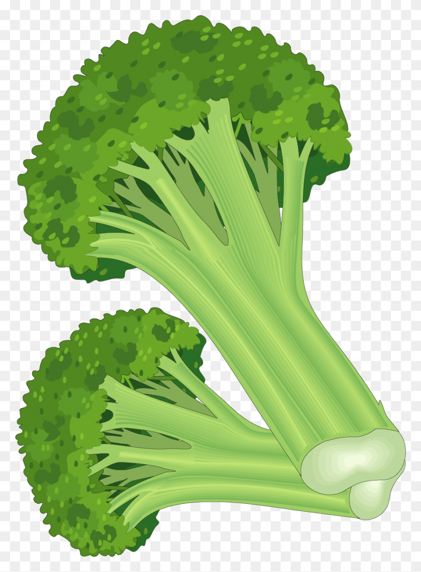 890x1234 Leaf Vegetable Fruit Carrot Clip Art Clipart Fruits Carrot, Plant, Broccoli, Food HD PNG Download