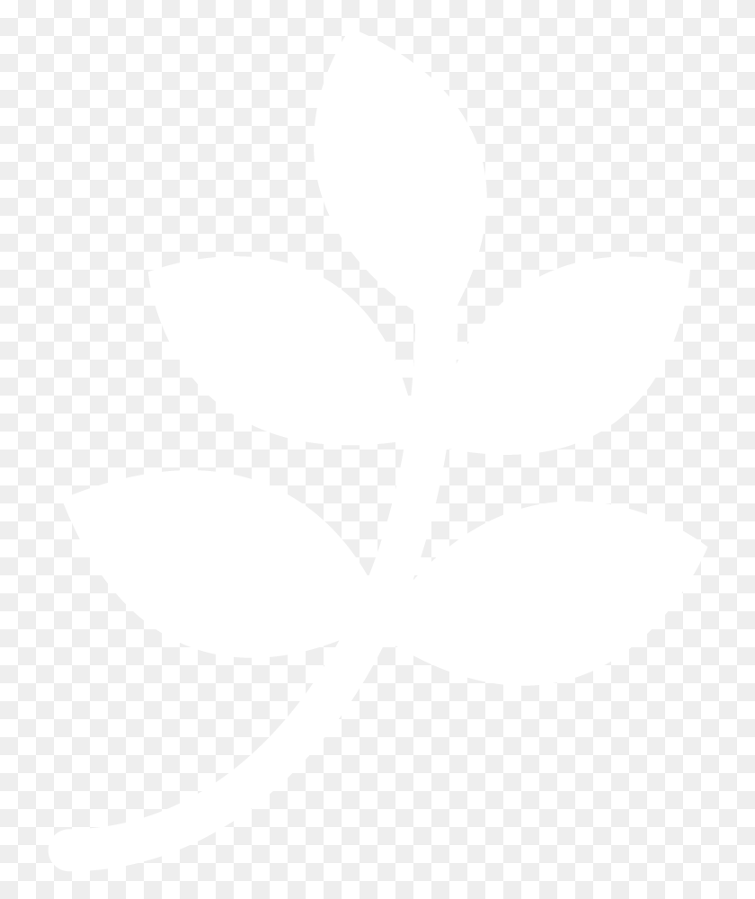 736x940 Leaf White Emblem, Stencil, Texture, Symbol HD PNG Download