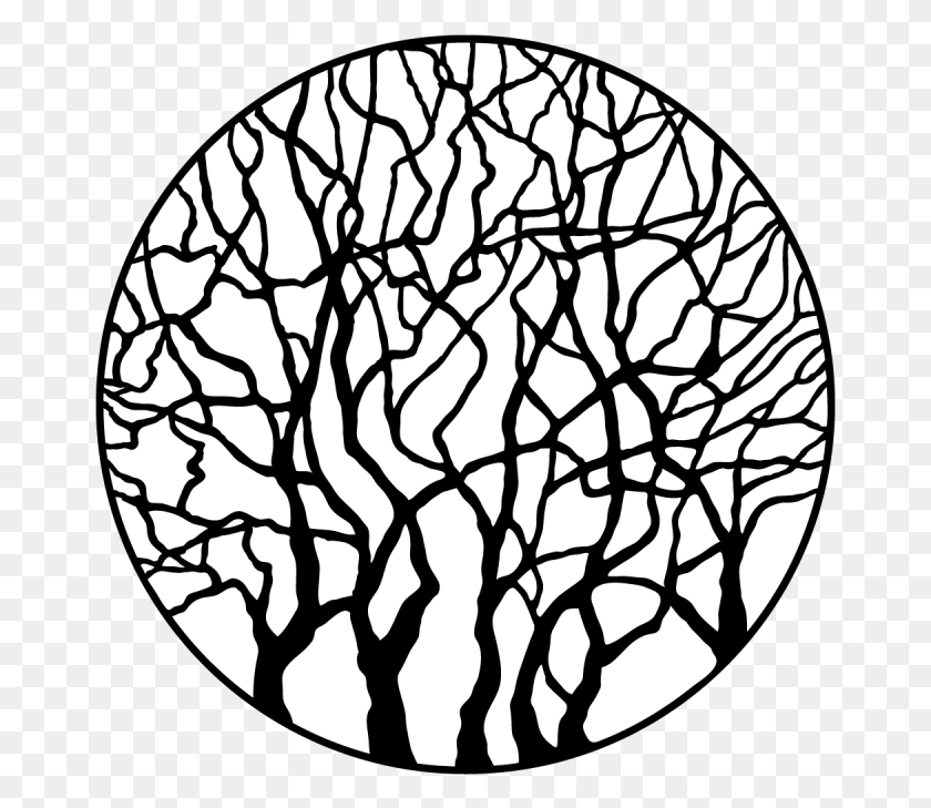 669x669 Leafless Trees Circle, Plant, Lamp HD PNG Download