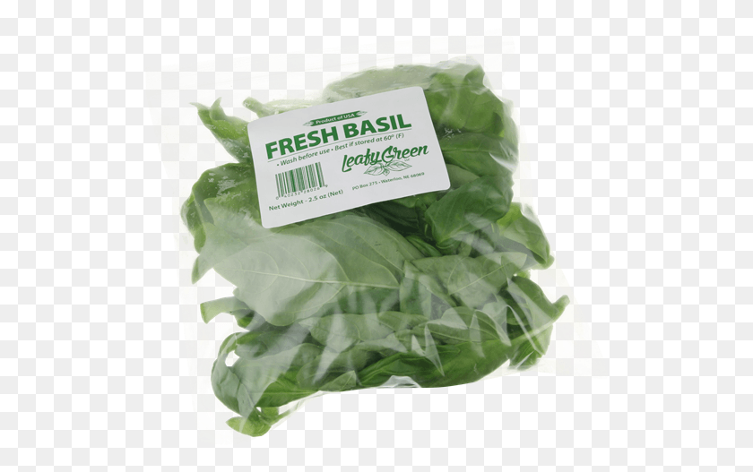 518x467 Leafy Green Fresh Basil Spinach, Plant, Vegetable, Food HD PNG Download