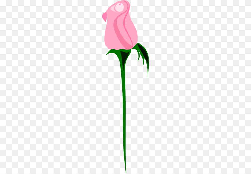 156x581 Leah S Pink Rose Clip Art, Flower, Plant, Petal, Adult PNG