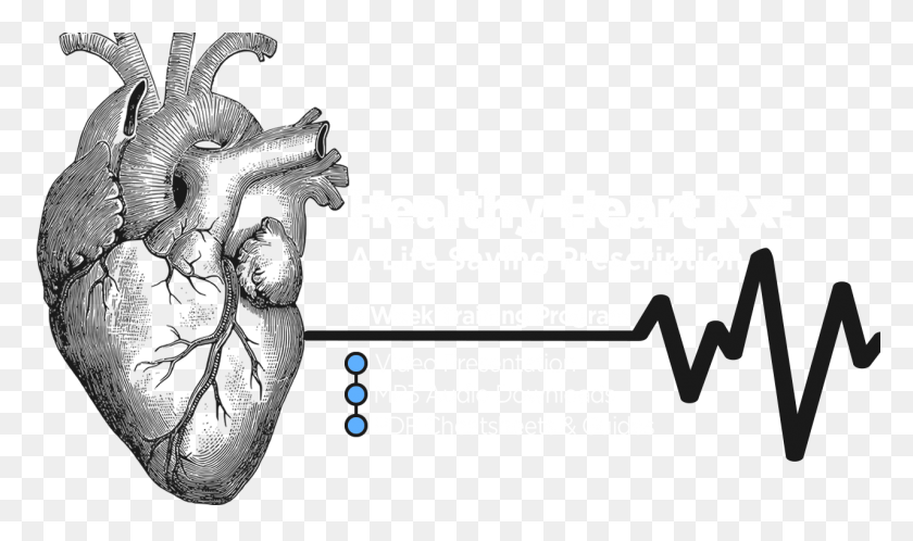 1280x720 Learn What To Do To Prevent Heart Disease Real Human Heart Drawing, Poster, Advertisement, Flyer HD PNG Download