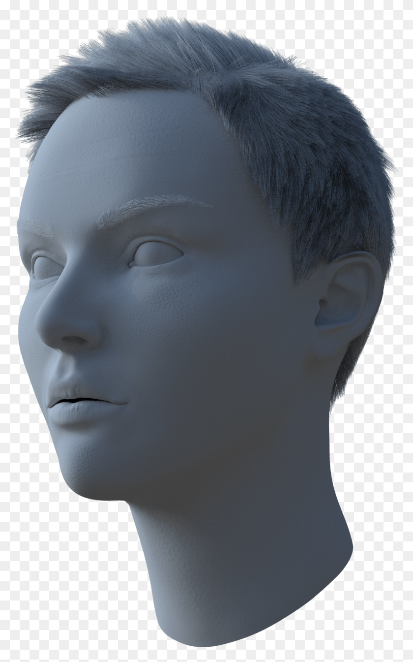 1167x1924 Learned Quite A Few Things From The Last One So I39m Mannequin, Head, Face, Person HD PNG Download