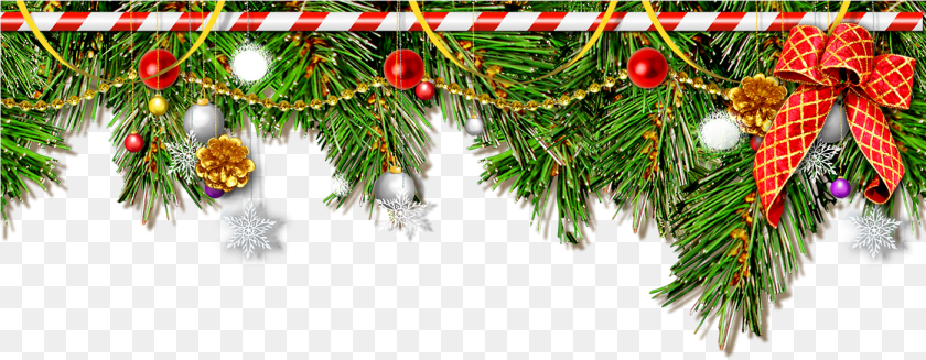 1401x546 Learning About Christmas Traditions Christmas Tree Background, Plant, Christmas Decorations, Festival, Christmas Tree Transparent PNG