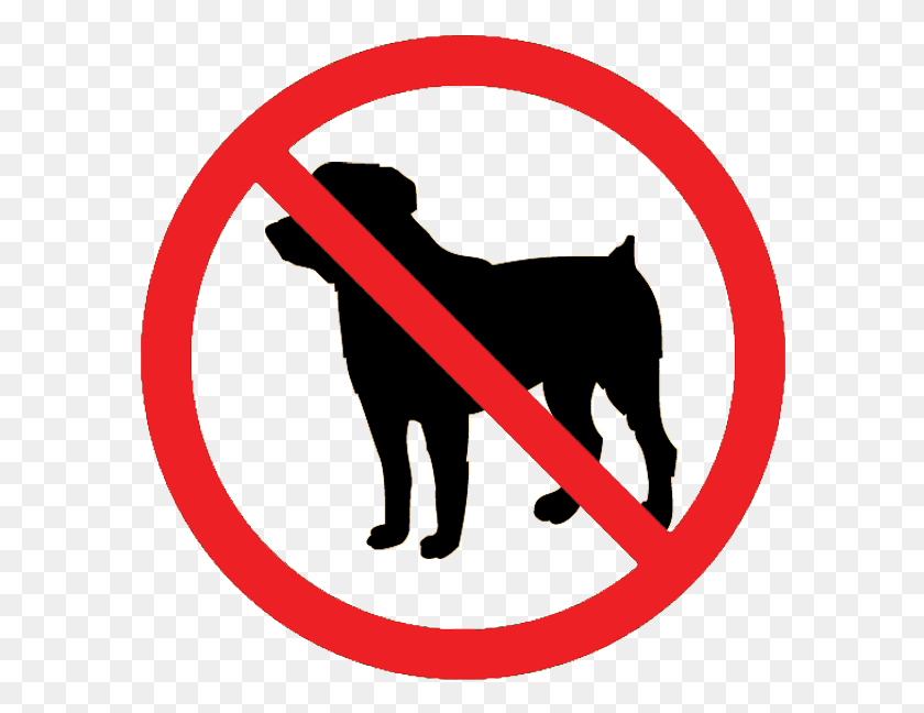 588x588 Leash Tightens On Dogs In City Pet Is Not Allowed, Label, Text, Symbol HD PNG Download