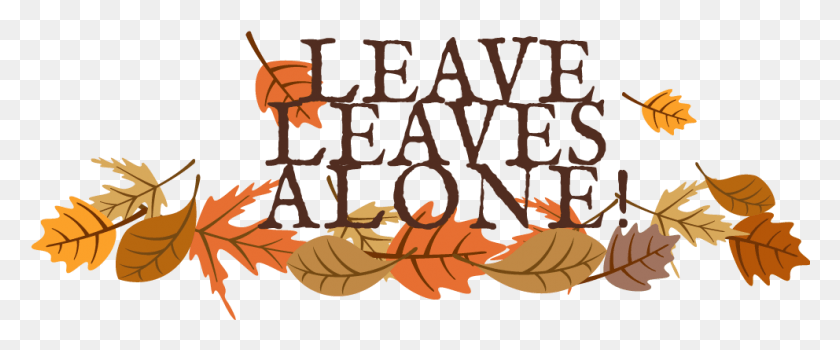 992x369 Leave Leaves Alone Logo Illustration, Text, Leaf, Plant HD PNG Download