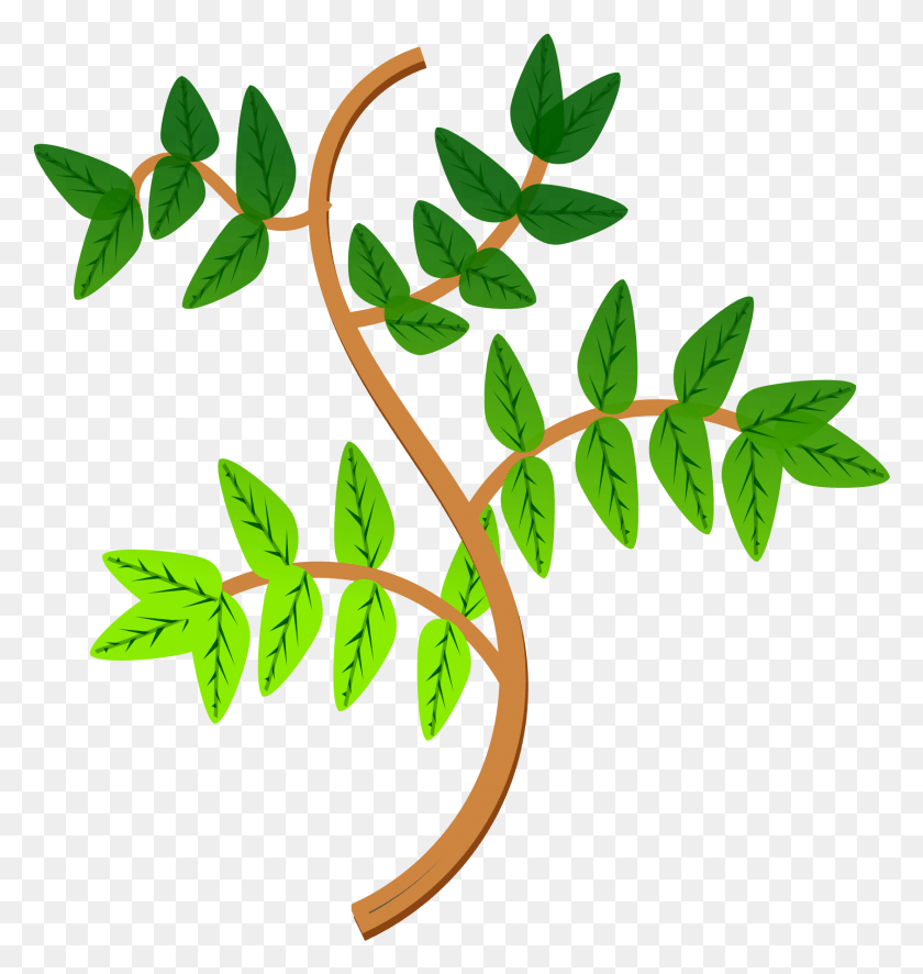 1685x1786 Листья И Ветви Иконки Транспирация Gcse, Лист, Растение, Зеленый Hd Png Скачать