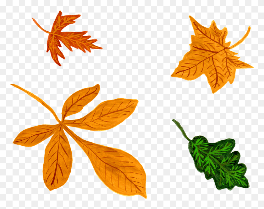 891x694 Leaves Autumn Watercolor Isolated Handpainted Watercolor Painting, Leaf, Plant, Tree HD PNG Download