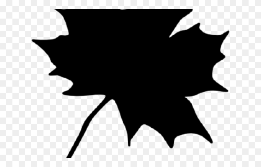640x480 Leaves Black Cliparts Maple Leaf Clipart Orange, Leaf, Plant HD PNG Download