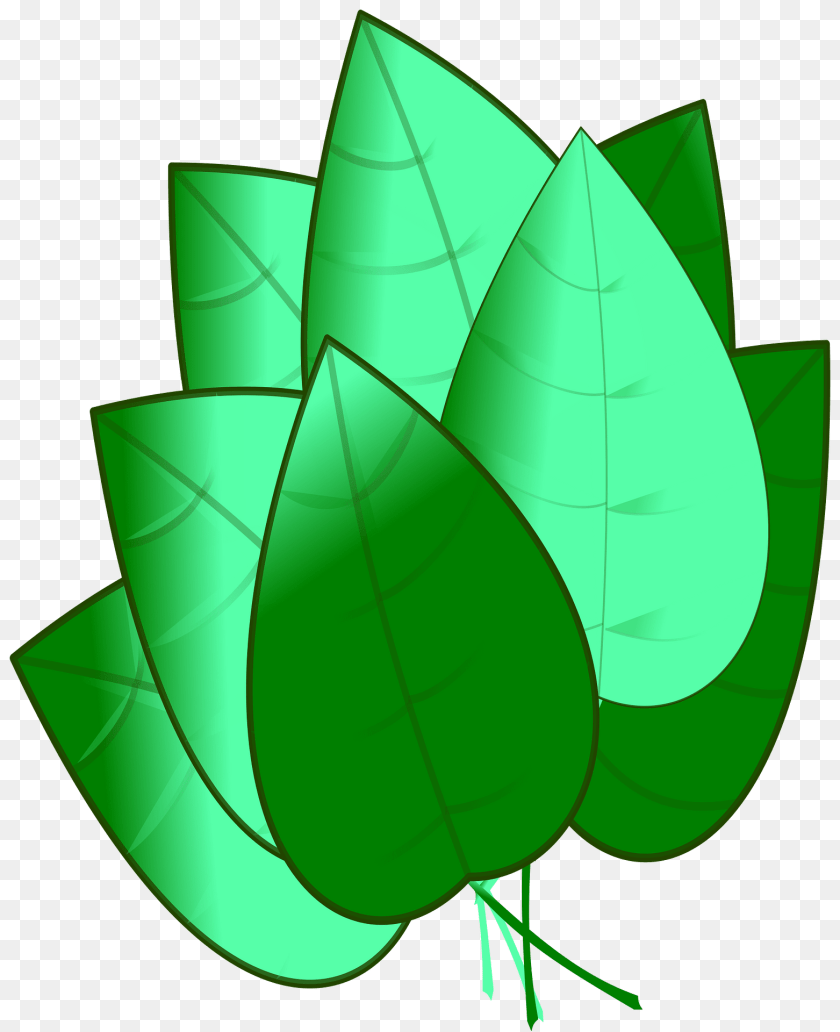 1563x1920 Leaves Green, Leaf, Plant, Recycling Symbol Clipart PNG