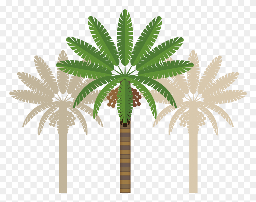 1409x1094 Leaves Clipart Coconut Tree Dubai Transparent Clipart Free, Plant, Palm Tree, Tree HD PNG Download
