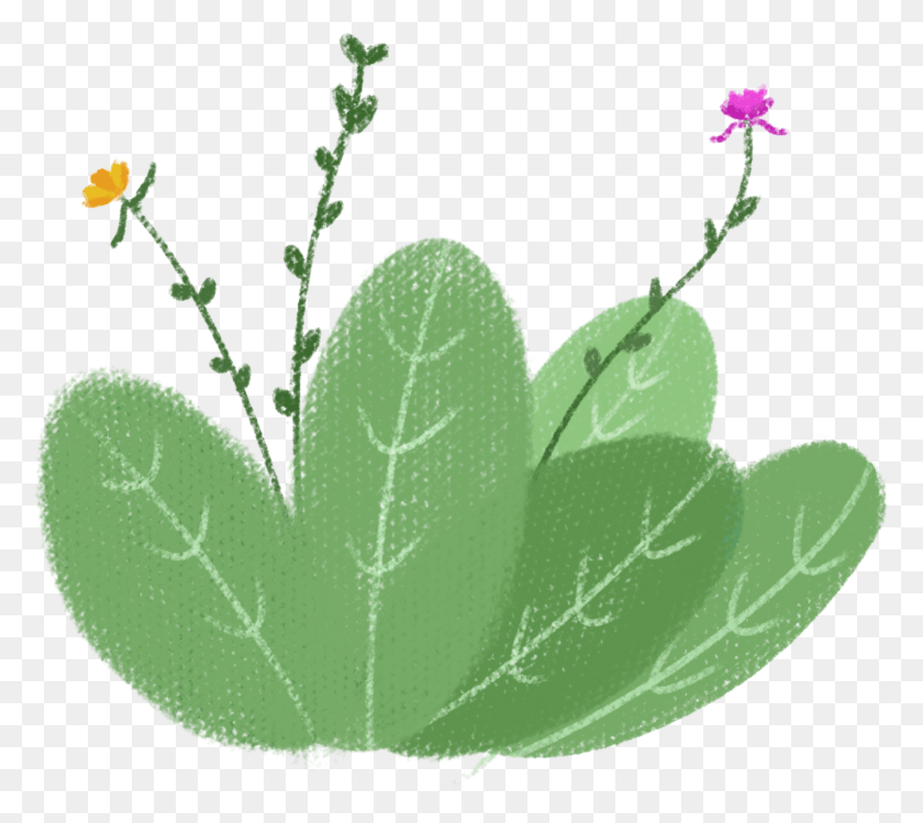 1657x1464 Leaves Hand Drawn Cute Cartoon And Psd Psd, Leaf, Plant, Green HD PNG Download