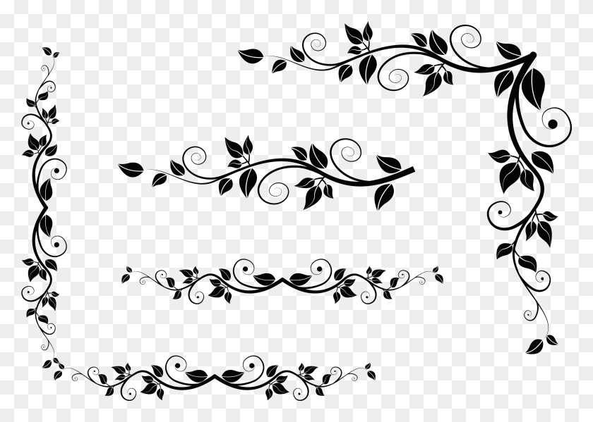 2939x2031 Leaves Picture Gallery Yopriceville High View Black And White Leaves Clipart, Astronomy, Outer Space, Universe HD PNG Download
