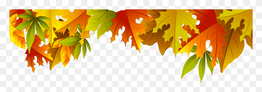 10290x3114 Leaves Thanksgiving File, Leaf, Plant, Tree HD PNG Download