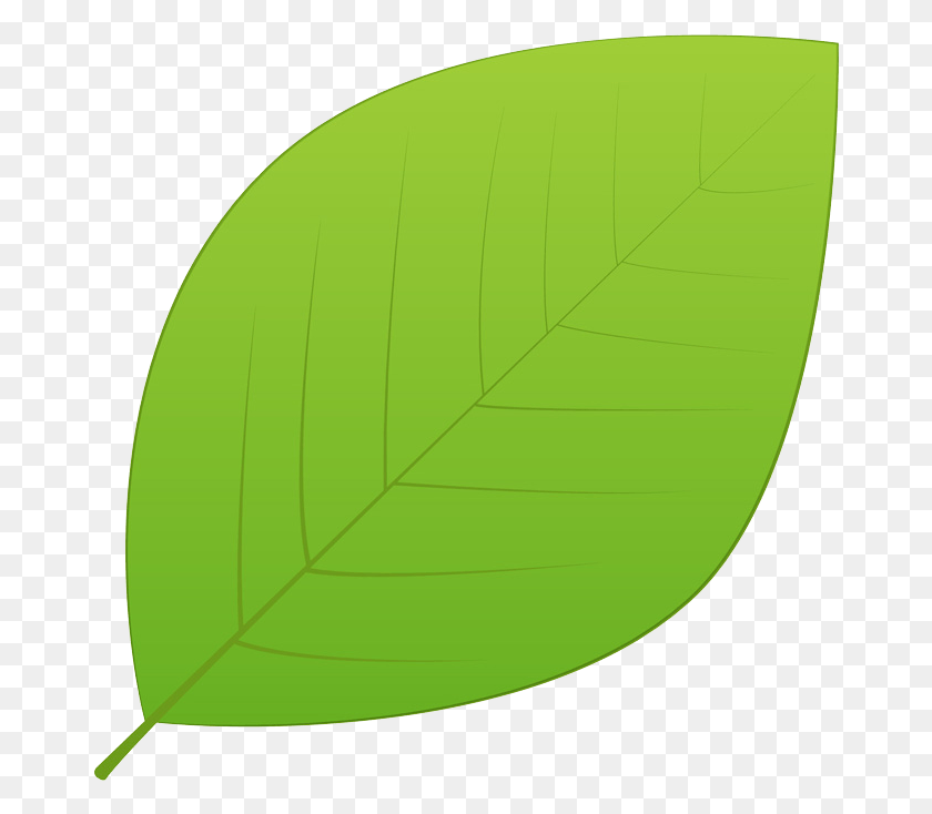 Зеленые листья картинки для оформления распечатать и вырезать