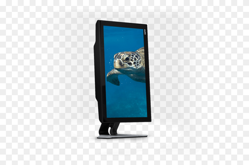 522x495 Led Backlit Lcd Display, Water, Diving, Sport HD PNG Download