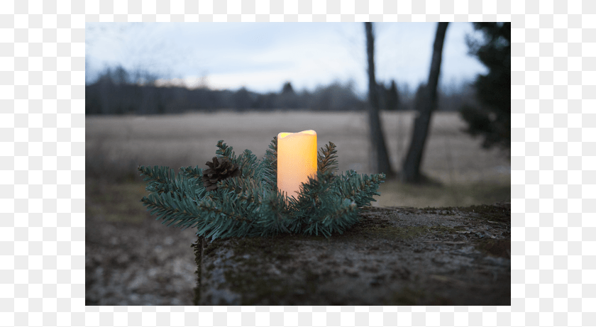 601x401 Led Grave Candle Serene Advent Candle, Fire, Vigil HD PNG Download