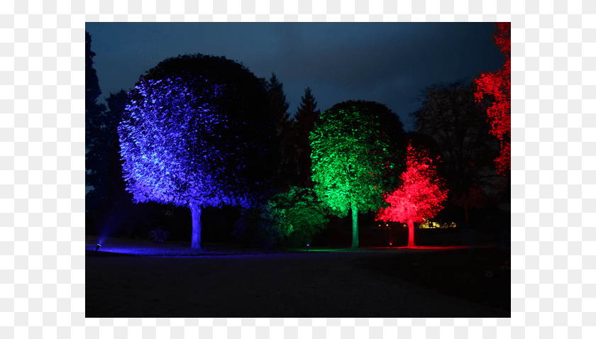 601x418 Led Lamp E27 Par38 Outdoor Spotlight Tree, Plant, Light, Lighting HD PNG Download