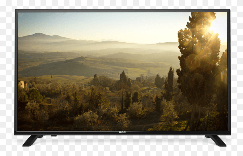 1001x614 Led Tv, Outdoors, Nature, Tree HD PNG Download