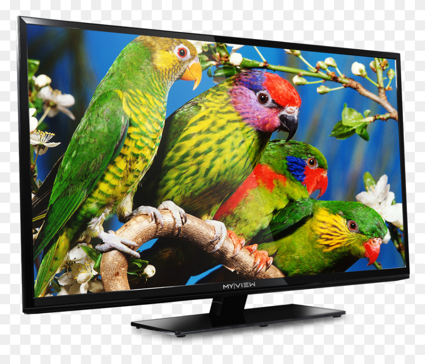 825x697 Led Tv Led Tv Monitor Images, Screen, Electronics, Display HD PNG Download