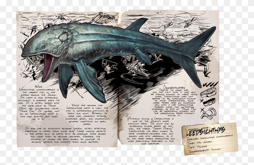 740x488 Leedsichthys Ichthyornis Dinosaur Ark Survival Evolved Leedsichthys, Peces, Animales, Vida Marina Hd Png