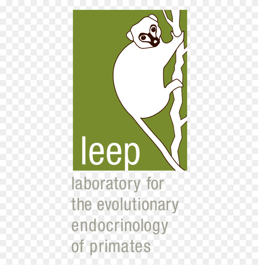 381x801 Leep Logo Web Transparent Ifpma, Poster, Advertisement, Animal HD PNG Download