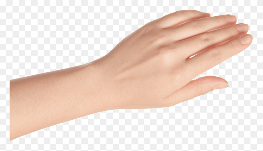 1138x618 Left Hand Opened Woman Left Hand, Person, Human, Wrist HD PNG Download