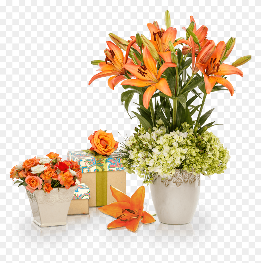 991x1001 Leftright, Plant, Flower, Blossom HD PNG Download