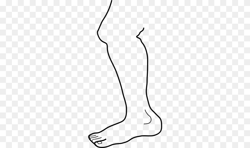 Leg Clip Art Image, Gray Clipart PNG
