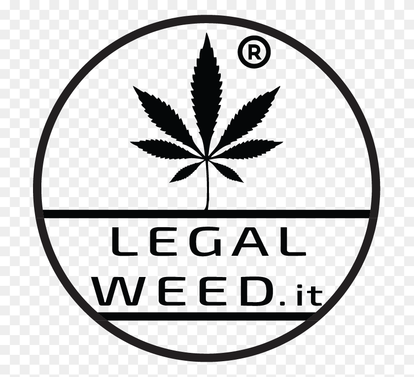 705x705 Legal Weed Cannabis Light Marijuana Leaf, Plant, Symbol, Logo HD PNG Download