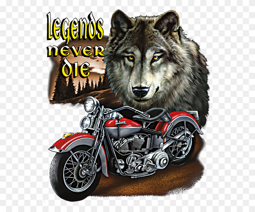 554x640 Legends Never Die Wolf And Motorcycle Harley Davidson Enjoy Your Weekend, Vehicle, Transportation, Mammal HD PNG Download