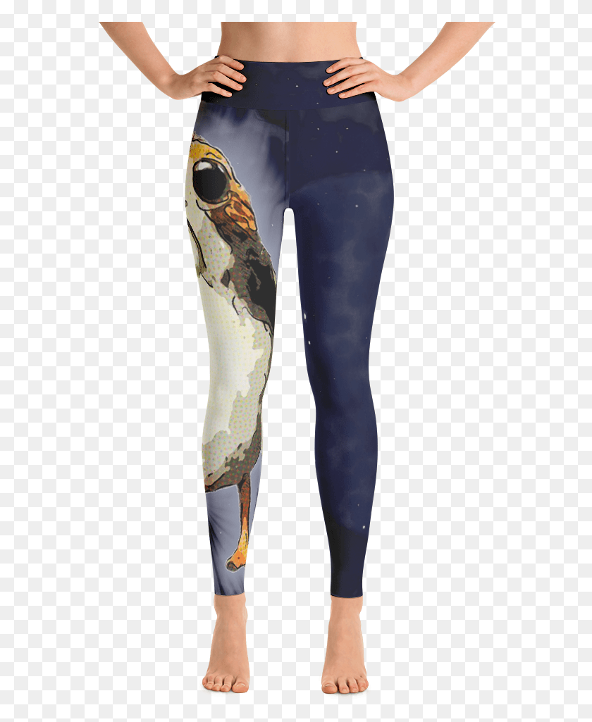 567x965 Leggings, Person, Human, Animal HD PNG Download