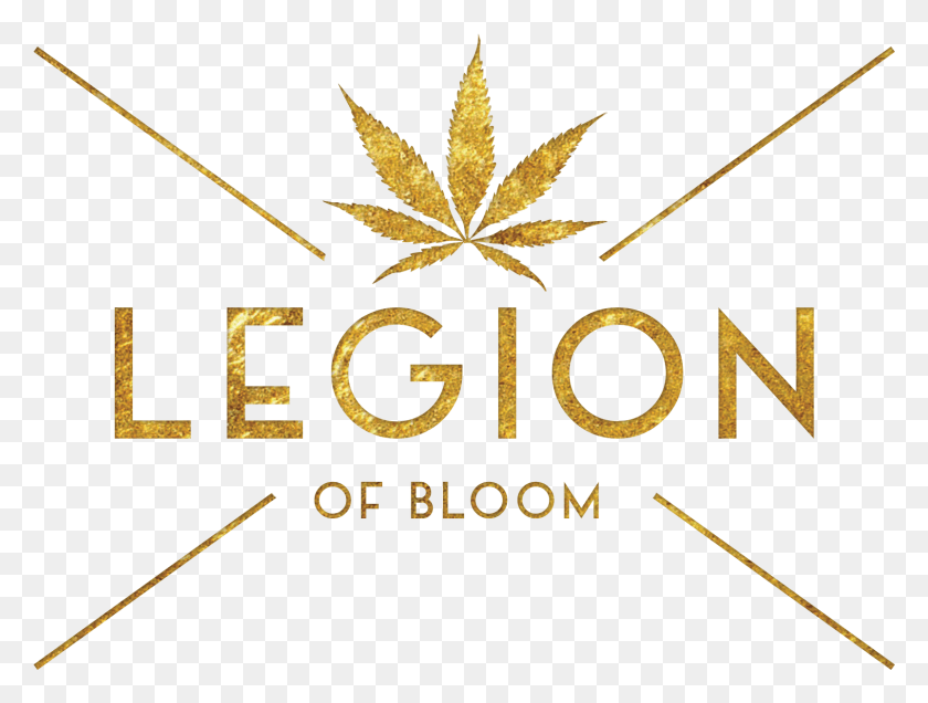 1604x1186 Descargar Png / Legion Of Bloom Pot Leaf, Planta, Texto, Número Hd Png