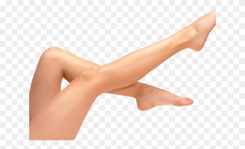 641x452 Legs Transparent Images Woman Legs, Person, Human, Arm HD PNG Download