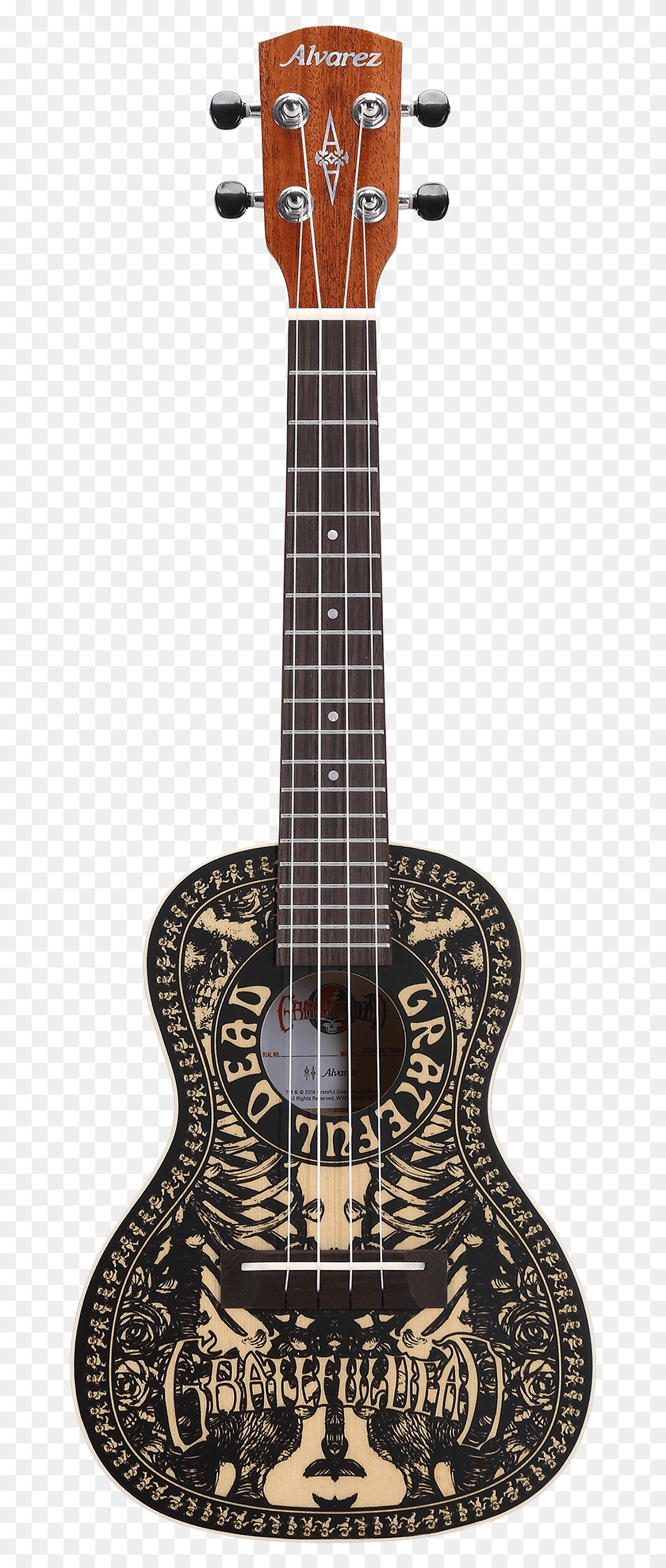 666x1917 Leho Lhuc Mm E Ukulele, Guitar, Leisure Activities, Musical Instrument HD PNG Download