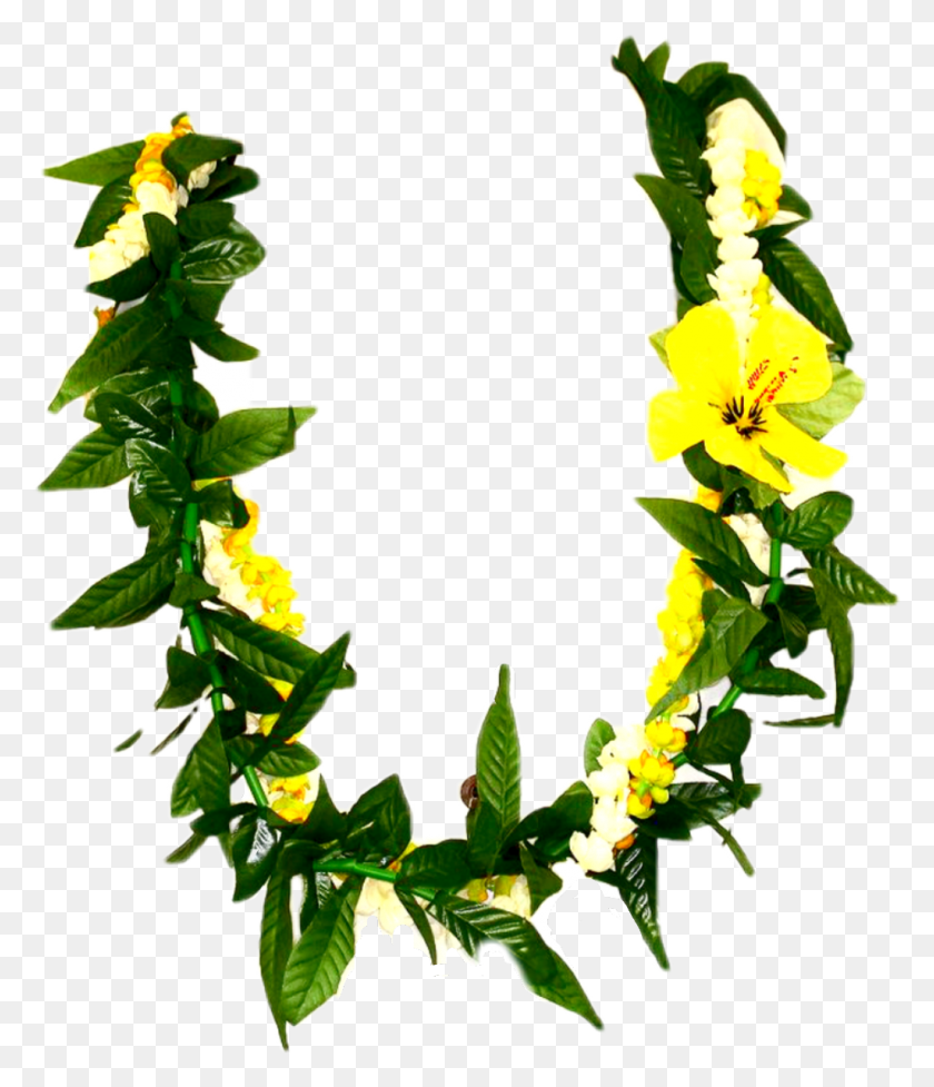 1024x1204 Лей Гавайский Гавайский Лей, Растение, Цветок, Цветение Hd Png Скачать