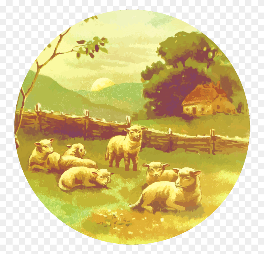 750x750 Лестерская Длинношерстная Суффолкская Овца Мериносовый Скот Ягненок Овца, Млекопитающее, Животное Hd Png Скачать