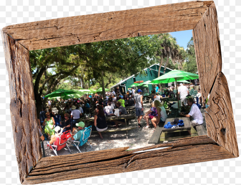 Leisure, Wood, Tree, Restaurant, Plant Transparent PNG