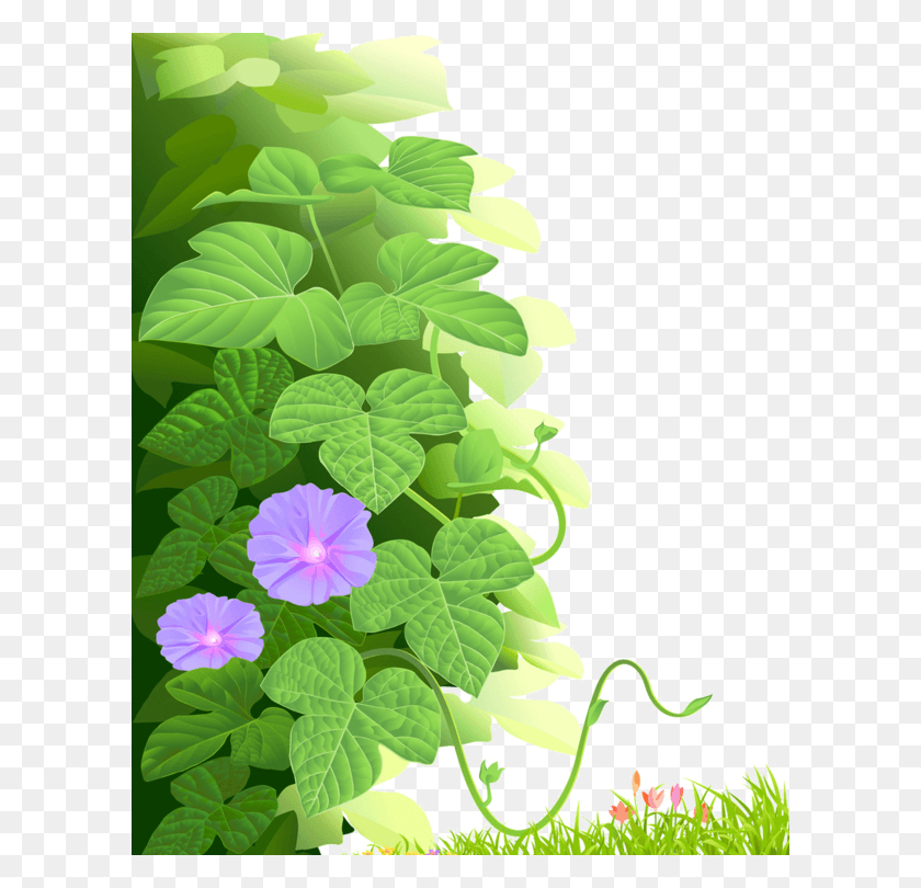 600x750 Lembro Kawaii Stuff Backdrops Grass Photoshop Morning Glory, Растение, Лист, Герань Hd Png Скачать