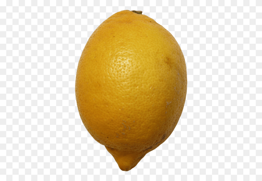 362x520 Lemon, Citrus Fruit, Fruit, Plant HD PNG Download