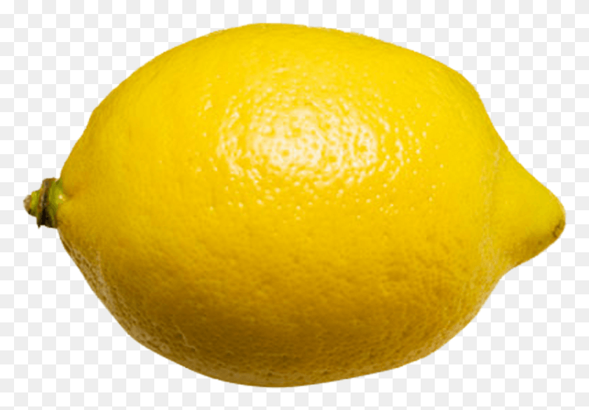 1037x699 Lemon, Citrus Fruit, Fruit, Plant HD PNG Download