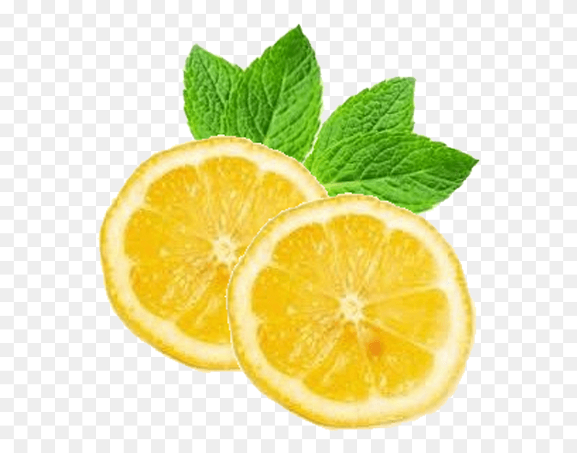 564x600 Лимон И Мята Мята Лимон, Растение, Горшечное Растение, Ваза Hd Png Скачать